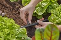 Gardena Verbindingsstuk 4,6 mm 3/16" - 13213-20 13213-20 - thumbnail