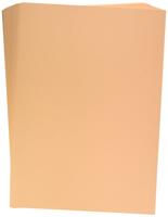 Clairefontaine Trophée Pastel, gekleurd papier, A3, 120 g, 250 vel, abrikoos - thumbnail