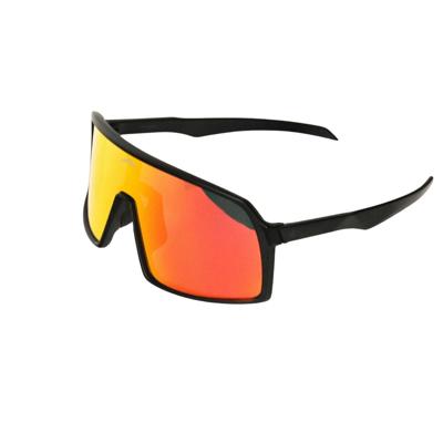 Buckels Signature Fietsbril 1