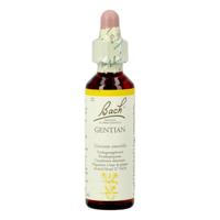 Bach Flower Remedies Gentiaan 12 - thumbnail