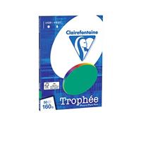 Dennengroen A4 papier 160 gram 50 vel Clairefontaine Trophée - thumbnail