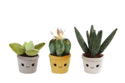 Take Me Home plant pluche L 3 ass 19-27 cm