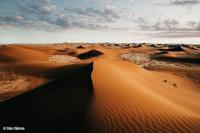 Sony FE 16mm F/1.8 G - thumbnail