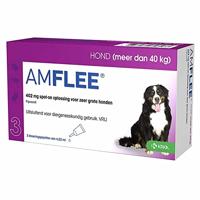 Amflee Spot-On 402 mg hond XL 40+ kg 2 x 3 pipetten - thumbnail