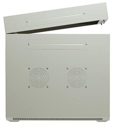 DSI 6U witte wandkast (kantelbaar) met glazen deur - DS6606W-DOUBLE server rack