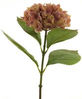 Hydrangea spray pipa pink 52cm - thumbnail