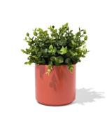 HEMA Bloempot ⌀12x12cm oranje - thumbnail