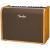 Fender Acoustic 100