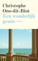 Een wonderlijk gemis - Christophe Ono-Dit-Biot - Paperback (9789463930161) - thumbnail
