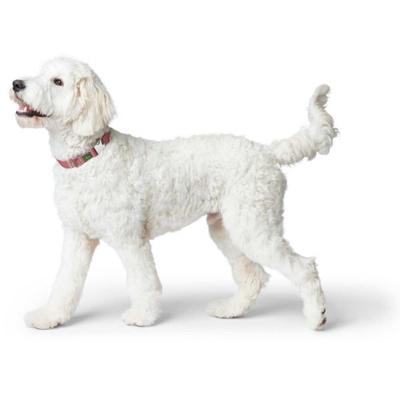 Hondenhalsband Hunter Rood 40-55 cm L