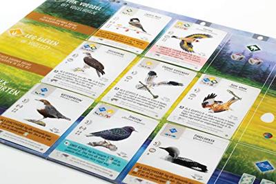 999Games wingspan uitbreiding: europa bordspel - thumbnail