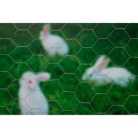 Nature gaas zeshoekig 1x10 m 25 mm gegalvaniseerd staal - thumbnail