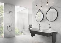 Grohe Handdouchehouder Rainshower Hard Graphite Geborsteld - thumbnail