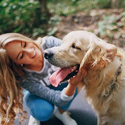 Beaphar Multi-Vit voor de hond 2 x 50 ml
