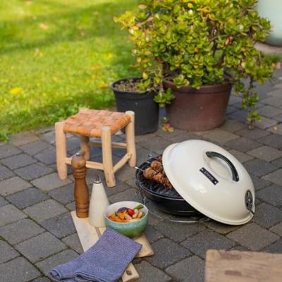 Draagbare houtskoolbarbecue - LIVOO - DOC301 - Champagne en zwart