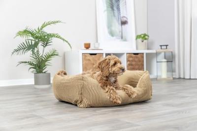 TRIXIE HONDENMAND MARLEY SOFT EDITION OKER 80X60 CM TRIXIE HONDENMAND MARLEY SOFT EDITION OKER 80X60 CM
