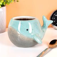 Walvis Mok - thumbnail