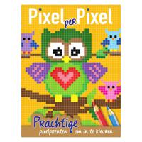Mondikaarten Pixel kleurboek uiltjes - thumbnail
