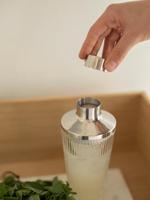 Stelton Pilastro Cocktailshaker helder - thumbnail