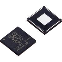 Raspberry Pi® Microcontroller RP2040 1 stuk(s) - thumbnail