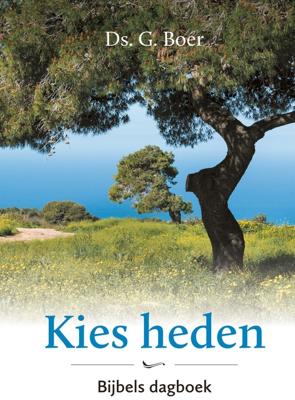 Kies heden - Ds. G. Boer - ebook