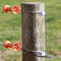 Gallagher Porseleinen hoekisolator wit (6) - 015139 015139 - thumbnail