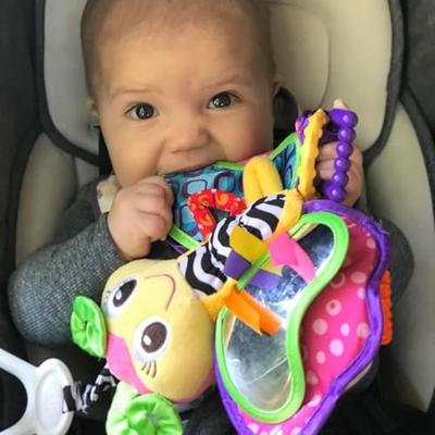 Playgro activiteitenvriend vlinder