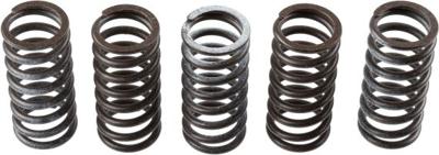 TRW koppelingsveren set clutch spring kit mef309-5