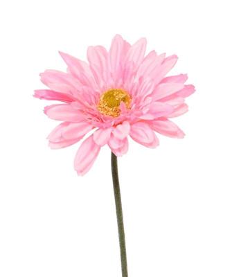 Gerbera kunst steelbloem 60 cm roze