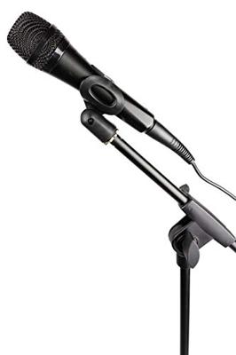 PDT RJMS100 RockJam Boom microfoonstandaard