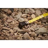 Stanley landmeter - Fiberglas - 12.7 mm - 60 m - 2-34-795 - thumbnail