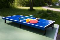 DONIC SCHILDKRÖT Mini-tafeltennistafel - thumbnail