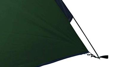 Easy Camp Meteor 300 Rustic Green tent Easy Camp Meteor 300 Rustic Green tent