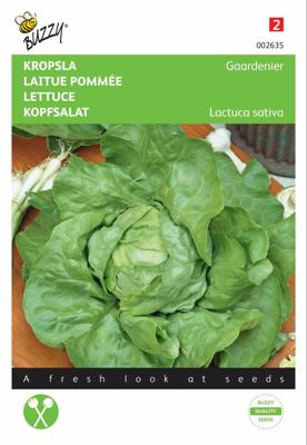Zaden Kropsla Gaardenier zeer laatschietend Buzzy - Buzzy Zaden Kropsla Gaardenier zeer laatschietend Buzzy - Buzzy