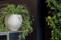 Pottery Pots Bloempot Mini Orb Grey washed-Bruin D 39 cm H 35 cm - thumbnail