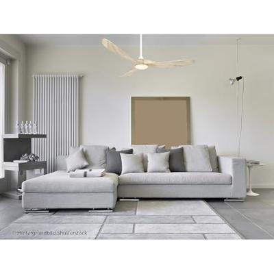 CasaFan ECO GENUINO-L 152 MW-NT Plafondventilator 16.5 W (Ø x h) 1520 mm x 340 mm Wit (mat) Met afstandsbediening, Met wintermodus