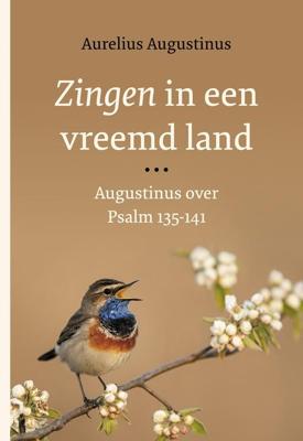 Zingen in een vreemd land - Aurelius Augustinus - ebook