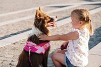 JK9® Paw Patrol Hondentuig Skye - Maat XL - thumbnail