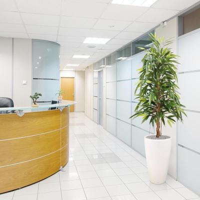 Longifolia Royal kunstboom 150cm