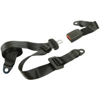 Carpoint gordel - 3-punts - voertuigcategorie m & n - personenauto of campers (m) - bussen, bestelauto of vrachtwagen (n) - lengte 25/230cm - thumbnail