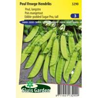 Peul zaden Vroege Hendriks - thumbnail
