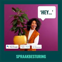 WiZ WiZ Draadloze schakelaar 8719514552685 8719514552685 - thumbnail