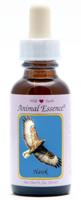 Animal Essences Hawk (havik) 30 Milliliter - thumbnail