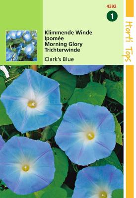 Zaden Ipomoea Klimmende Winde Clark's Blue Hortitops - Hortitops