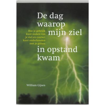De dag waarop mijn ziel in opstand kwam (Paperback)