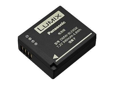 Panasonic DMW-BLF19E