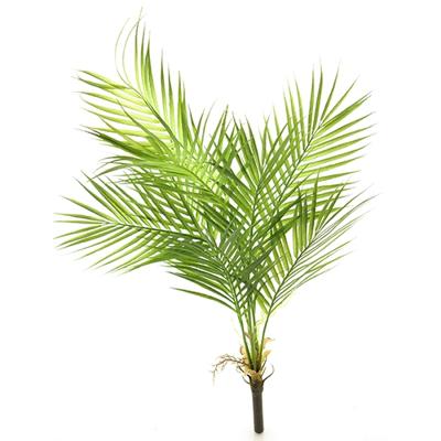 Areca palm green 91cm