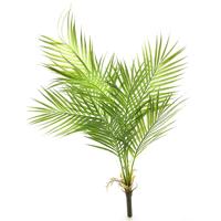 Areca palm green 91cm - thumbnail