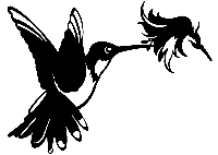 Geluksvogel kolibrie op bloem - thumbnail