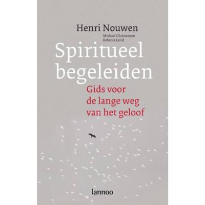 Spiritueel begeleiden (Paperback)